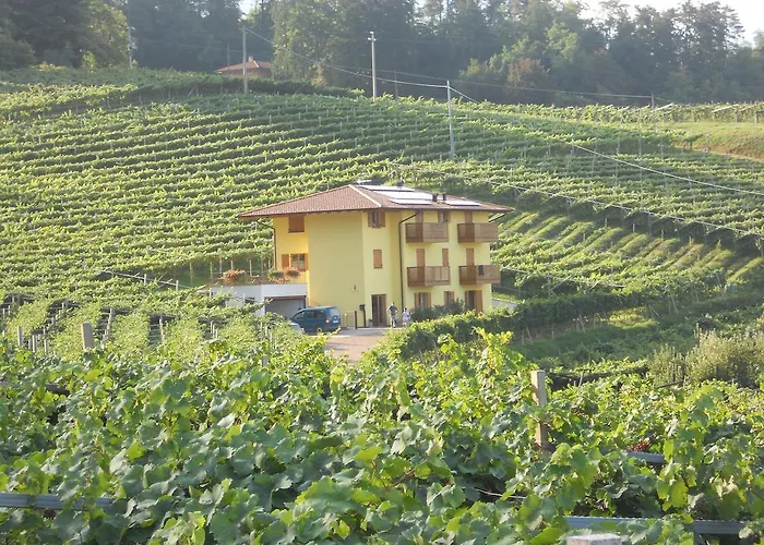 Agritur Al VignetoAgriturismo